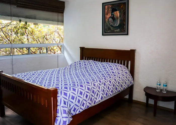 Pensión Cuija Coyoacan Berlin 268 Coyoacan México DF