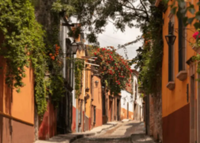 Cuija Coyoacan Berlin 268 Coyoacan Pensión